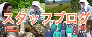 スタッフブログ
