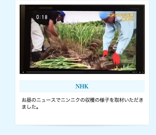 【NHK】お昼のニュースでニンニクの収穫の様子を取材いただきました。