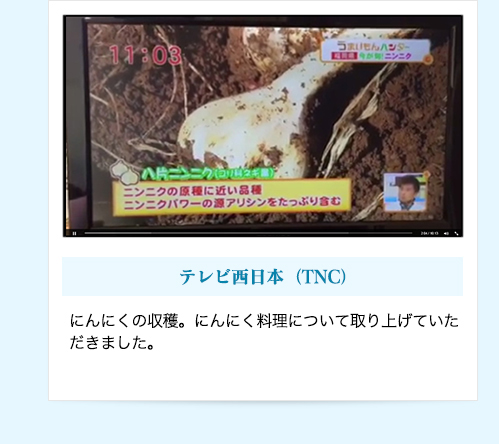 【テレビ西日本（TNC）】にんにくの収穫。にんにく料理について取り上げていただきました。
